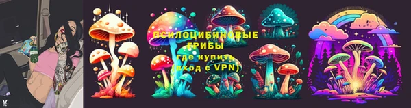 гидропоника Гусев
