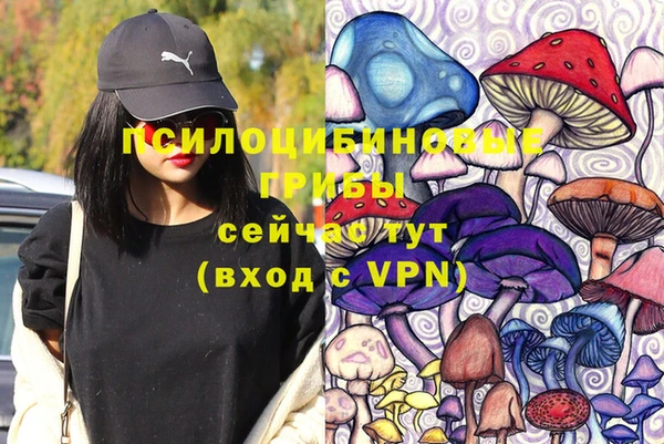 гидропоника Гусев