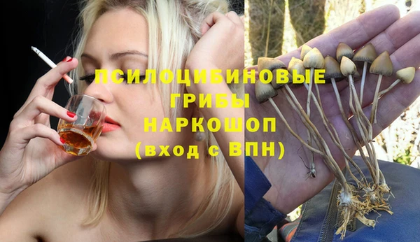 гидропоника Гусев