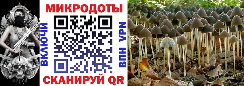 Галлюциногенные грибы Magic Shrooms  Духовщина 